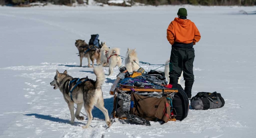 A team of sled dogs and a musher take a break on a snowy landscape. The sled rests on its side. 